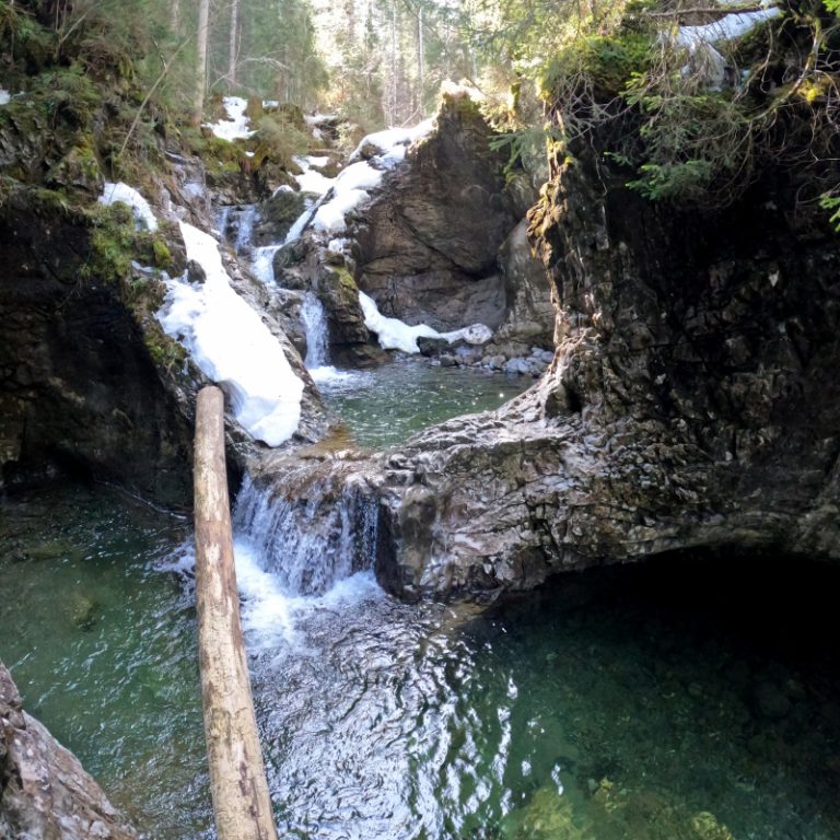 Schwarzwasserbach_05