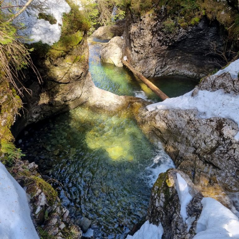 Schwarzwasserbach_07