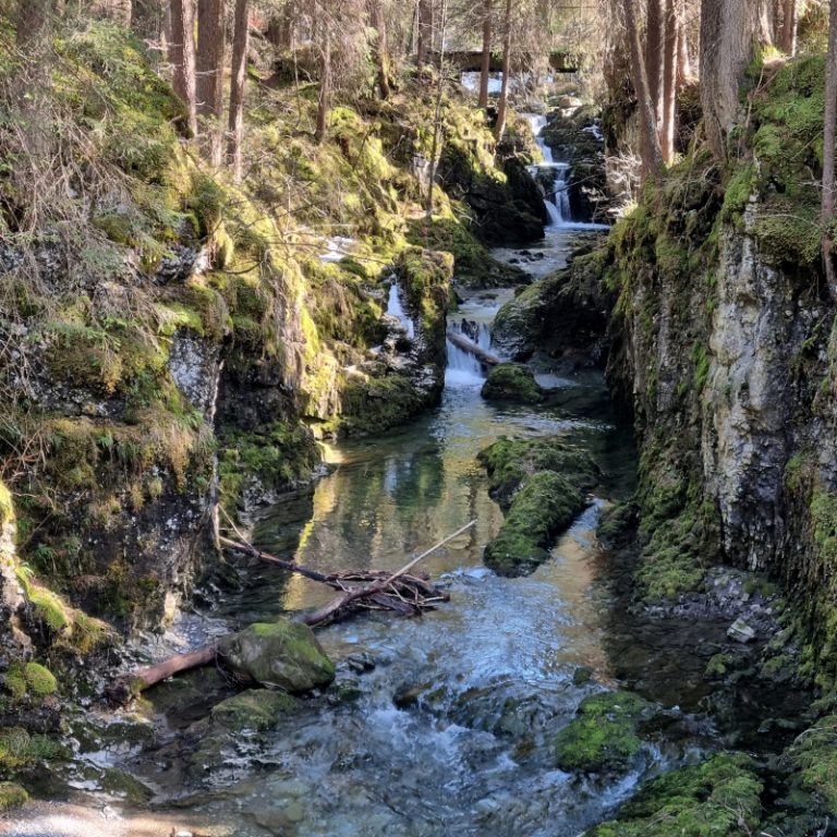 Schwarzwasserbach_12