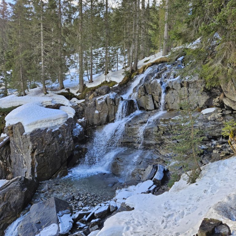 Hótalpas_túra_Schwarzwassertal_05
