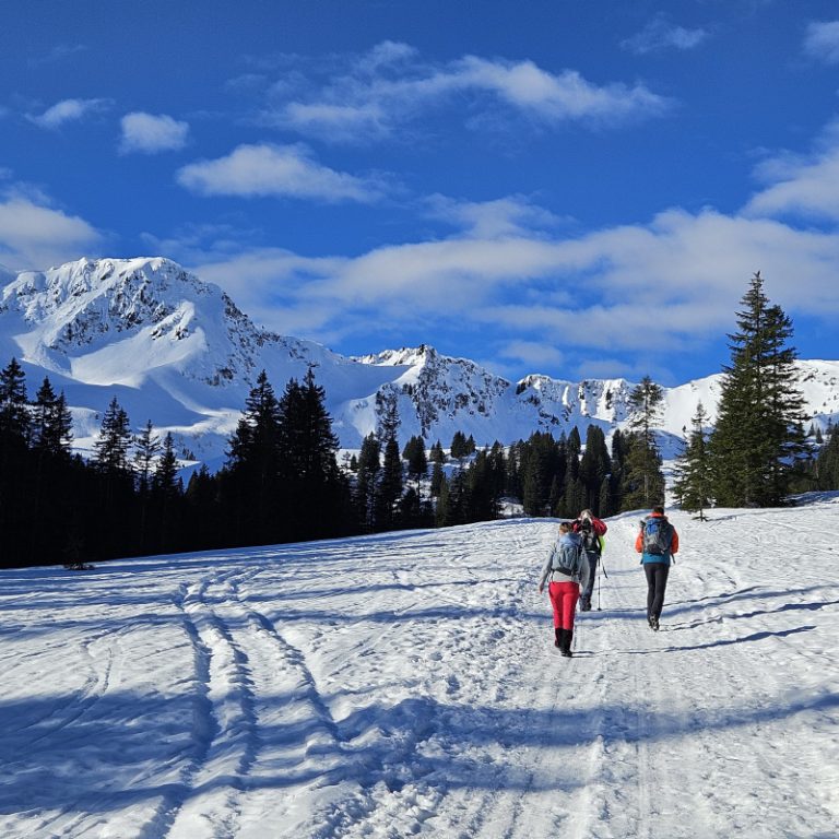 Hótalpas_túra_Schwarzwassertal_06
