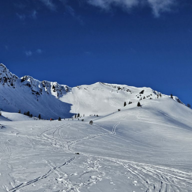 Hótalpas_túra_Schwarzwassertal_11