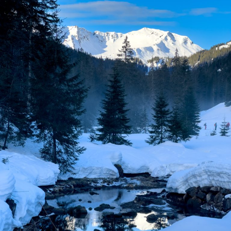 Hótalpas_túra_Schwarzwassertal_21